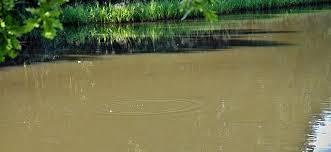 Why do chemicals in the Pond fluctuate? Content 1 Image 1