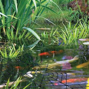 PondXpert Pond Protectors - Heron Deterrent 30 Rings Gallery Image