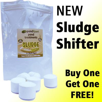 PondXpert Sludge Shifter (BOGOF) Thumbnail Image