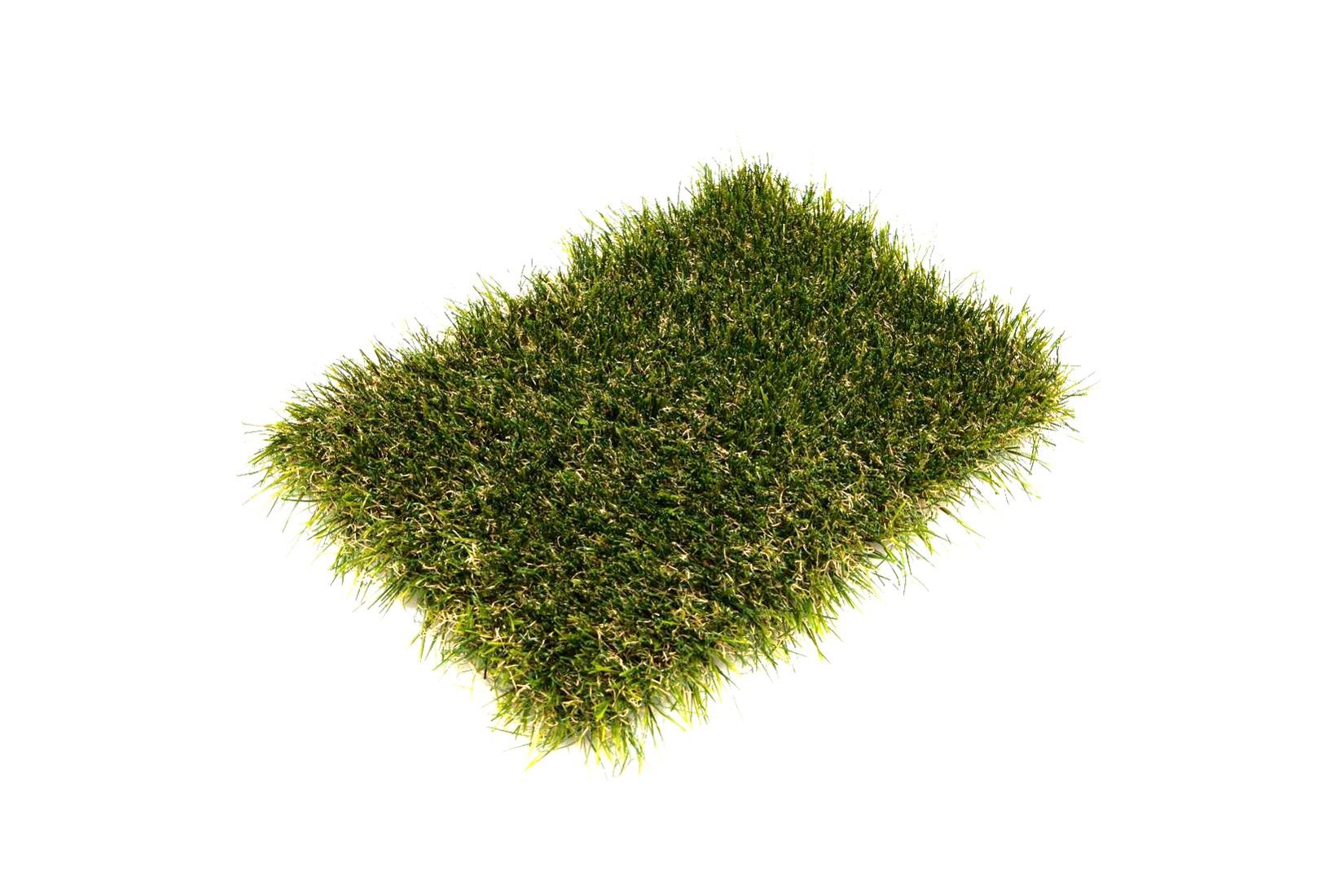 Artificial Grass (Willow) 2m x 2m (EXTRA 2-3 DAYS FOR DELIVERY) Thumbnail Image