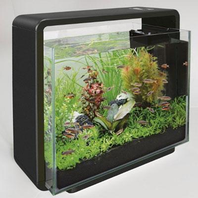 SuperFish Home 45 Aquarium (Black) Thumbnail Image