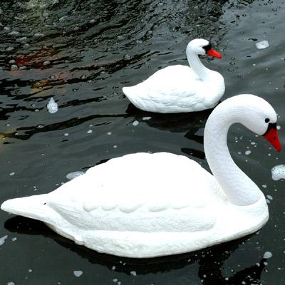 PondXpert Ornamental Floating Swan (Pair) Thumbnail Image