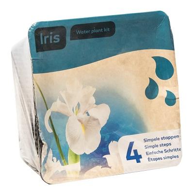 Moerings Iris Pond Plant in a Basket (White, x2) Thumbnail Image