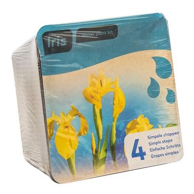 Moerings Iris Pond Plant in a Basket (Yellow, x2) Thumbnail Image