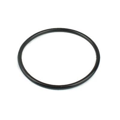 Blagdon MiniPond Filter UVC O-Ring Gasket (1041065) Thumbnail Image