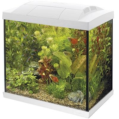 SuperFish Start 50 Tropical Kit (White) Thumbnail Image