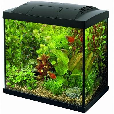 SuperFish Start 30 Tropical Kit (Black) Thumbnail Image