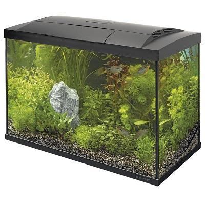 SuperFish Start 70 Tropical Kit (Black) Thumbnail Image