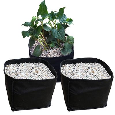 PondXpert FlexiBasket Square 18cm - Triple Pack Thumbnail Image