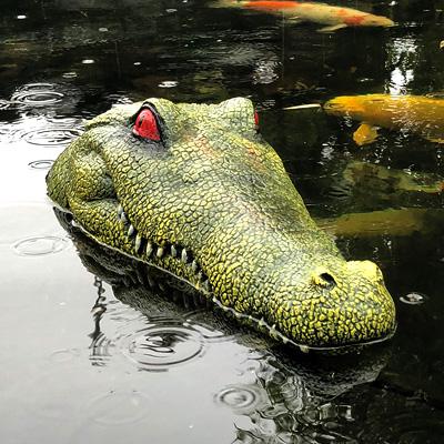 PondXpert Floating Crocodile Head Thumbnail Image