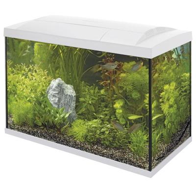 SuperFish Start 100 Tropical Kit White