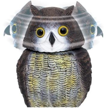 Defenders Wind-Action Owl (STV965) Gallery Image