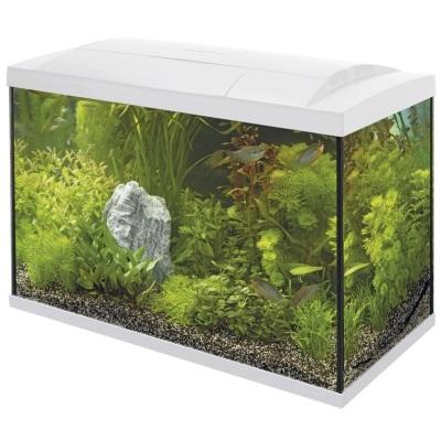 SuperFish Start 70 Tropical Kit (White) Thumbnail Image