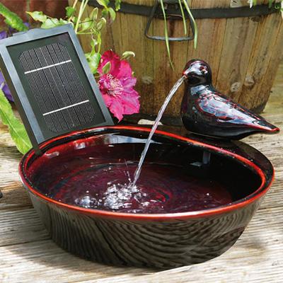 PondXpert Bird Solar Water Feature - Direct Sun Only Thumbnail Image