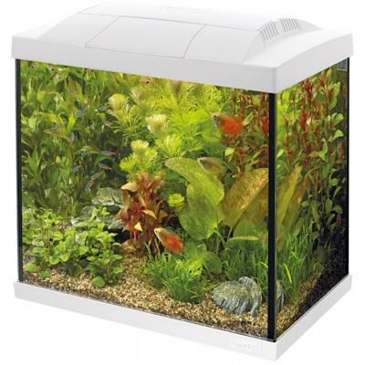 SuperFish Start 30 Tropical Kit (White) Thumbnail Image