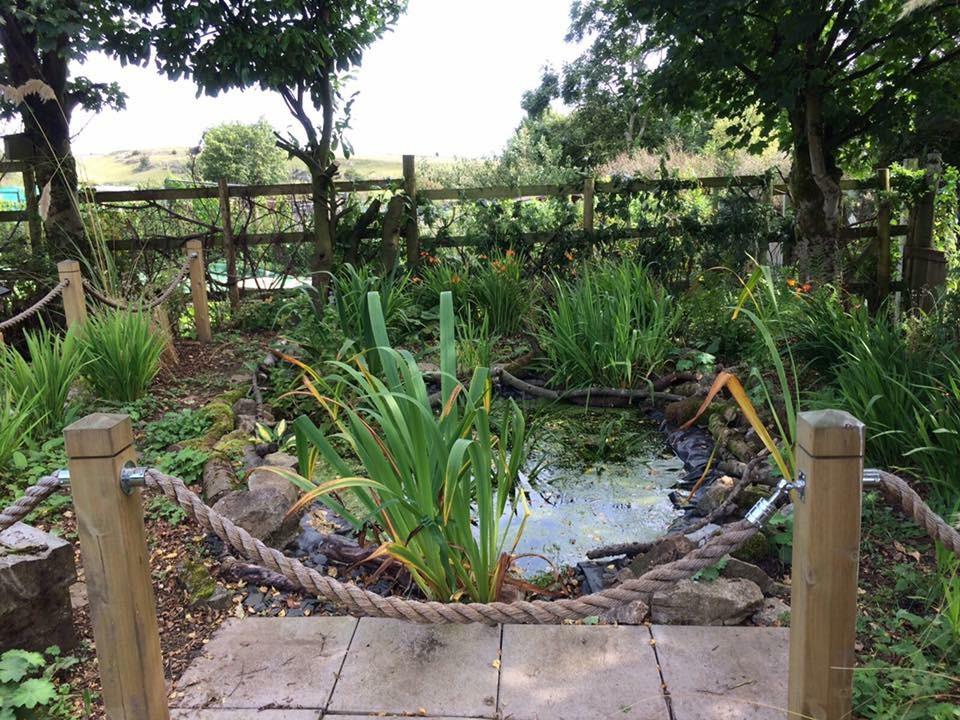 How a Pond can Benefit your Allotment Content 1 Image 1