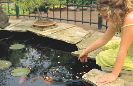 girl feeding fish