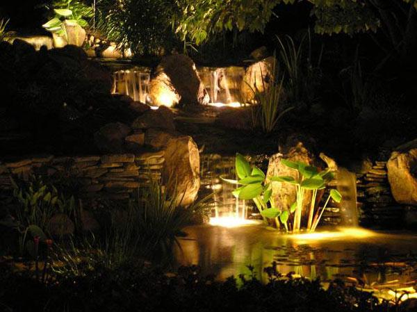 Pond Lighting: LED, Halogen and Solar Lights Content 1 Image 1