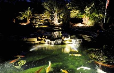 Pond Lighting: LED, Halogen and Solar Lights Content 1 Image 1