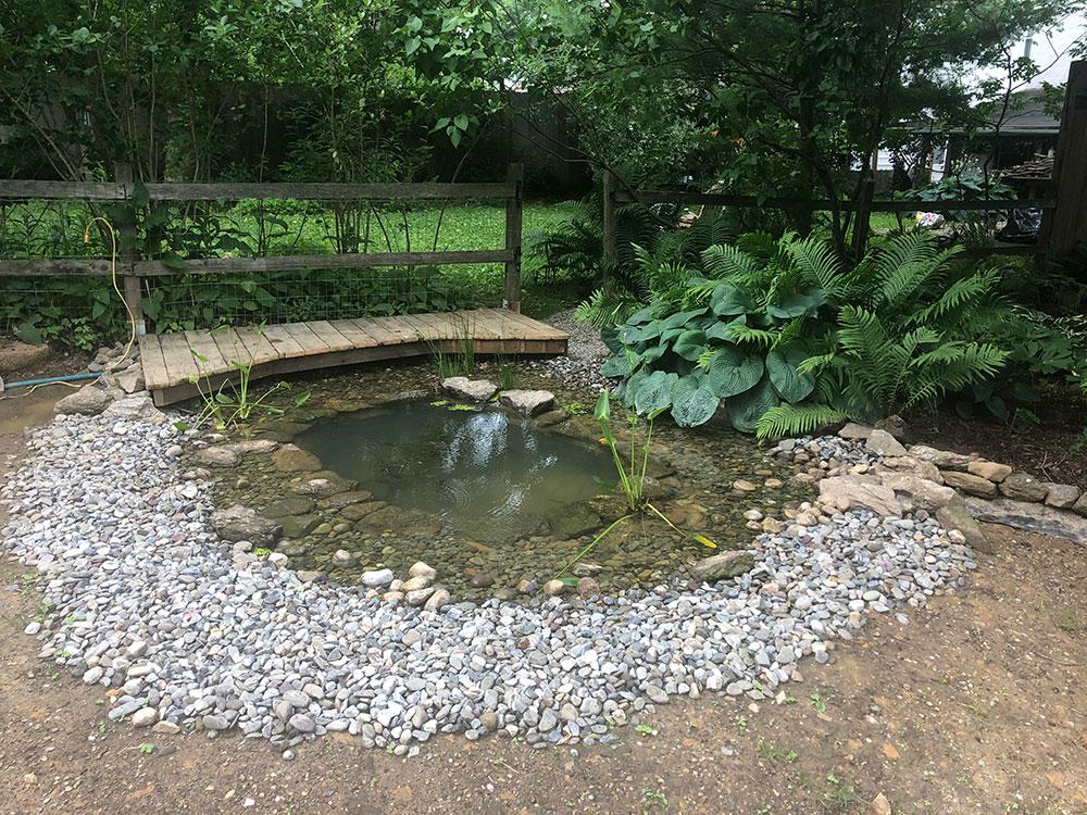 Environmental Benefits of a Pond Content 1 Image 1