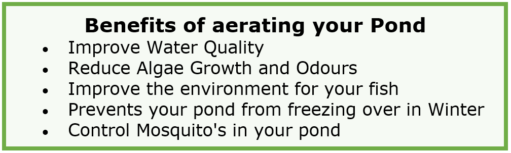 Aerating your Pond in Autumn and Winter Content 1 Image 1