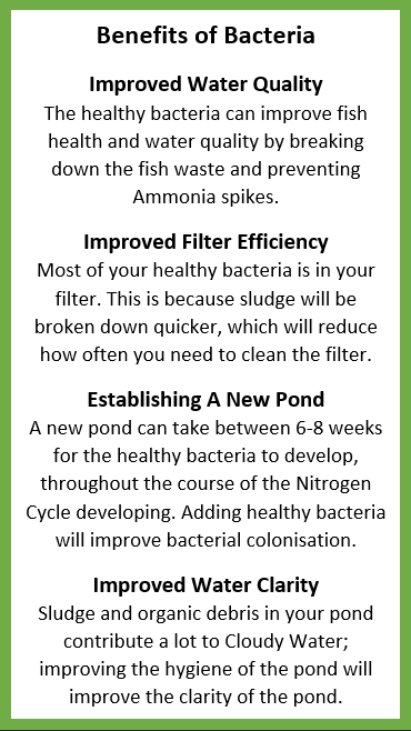 Bacteria: The Importance of Healthy Bacteria Content 1 Image 1