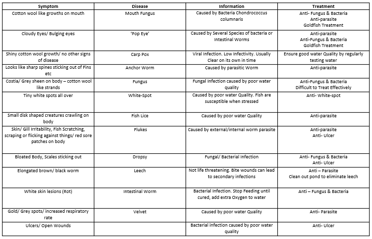 Diagnosing Your Fish Content 1 Image 1