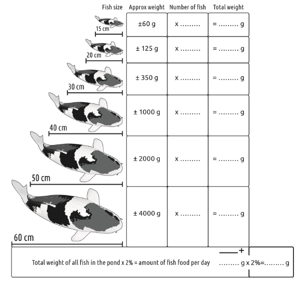 Fish Food: Tips on Feeding your Fish Content 1 Image 1