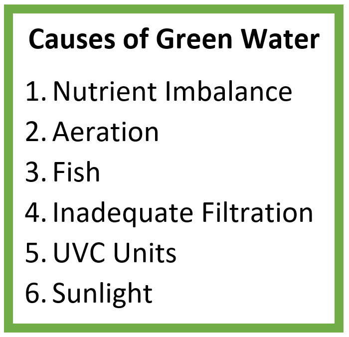 Green Water and Slimy Algae Content 1 Image 1