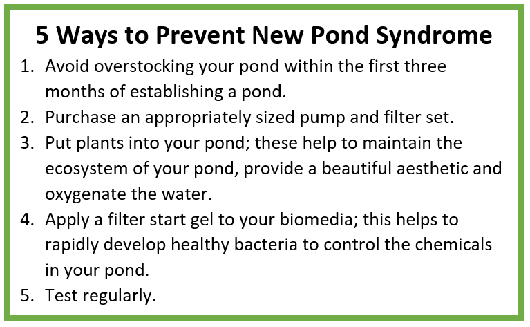 New Pond Syndrome Content 2 Image 1