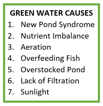 Summer Pond Care Content 1 Image 1