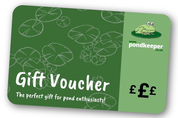 gift voucher web