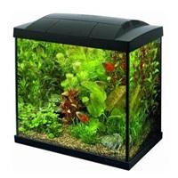 Fish Tanks