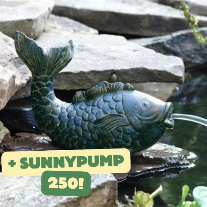 koi spitter with sunnypump 250