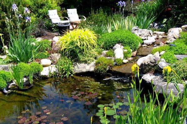 backyard pond