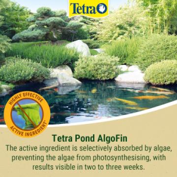  Tetra AlgoFin Blanketweed Treatment 2