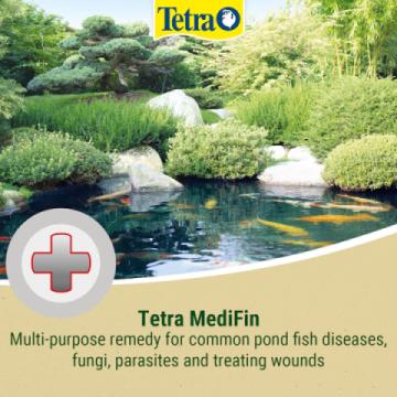 Tetra Medifin Treatment 2