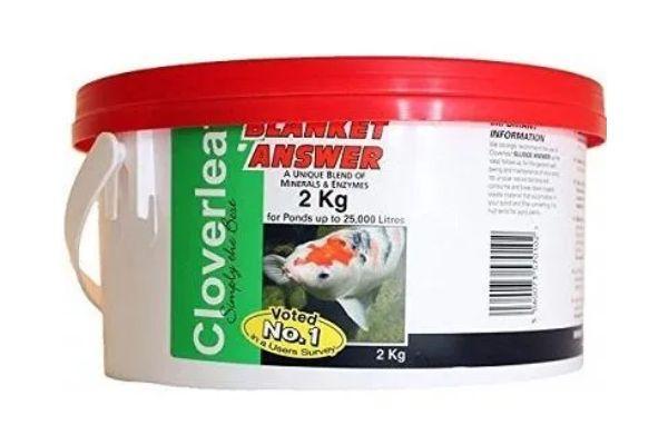 blanketweed blanketweed