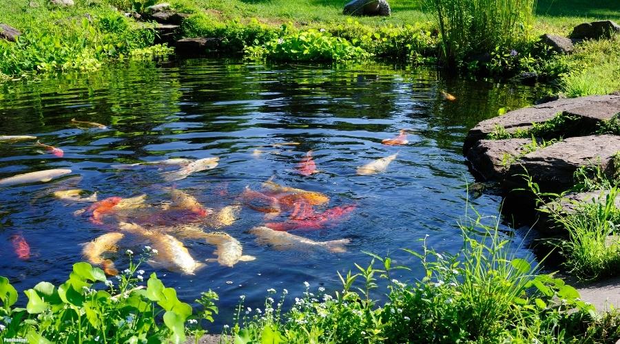 hero-image hero-image