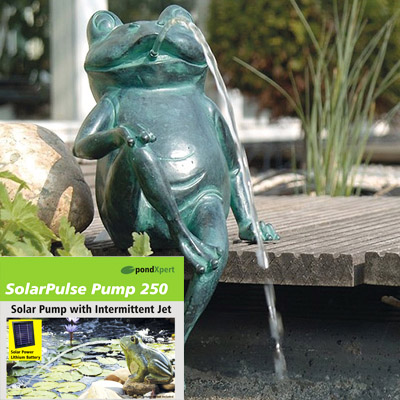 pondxpert sitting frog spitter & solarpulse 250