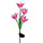 PondXpert Solar Lily Flower (Pink, Single)
